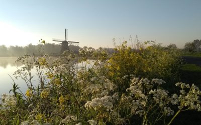 Onderweg naar Emmaüs