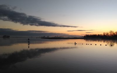 Spreken en zwijgen in misbruikrelaties